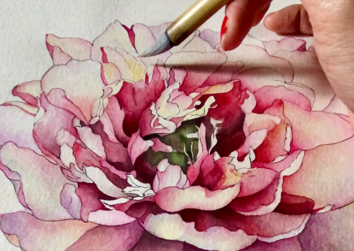 The Peony Girl Botanical Art