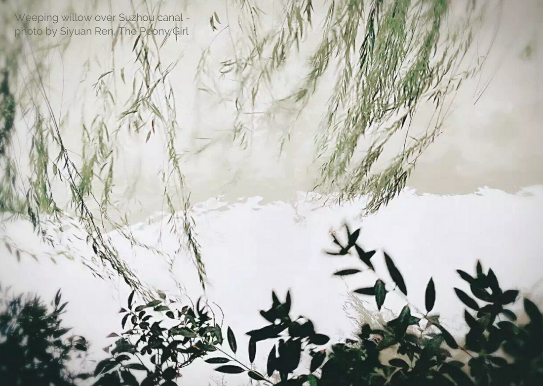 Created In The Classical Gardens Of Suzhou