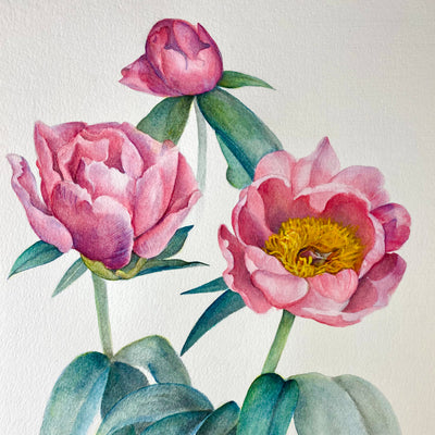 February - Lovely Rose