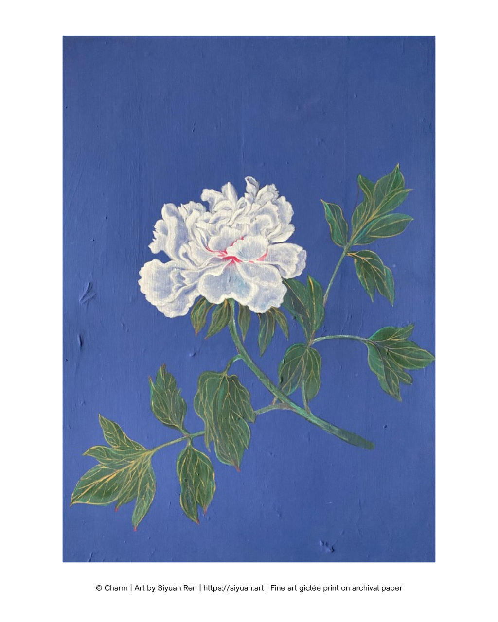 'Charm' Fine Art Print