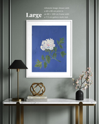 'Charm' Fine Art Print