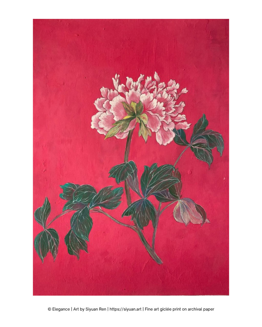A fine art print of a pink peony flower with green leaves on a textured bright pink background, presented on white paper with a copyright notice at the bottom.