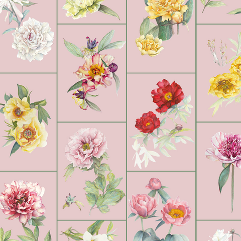 PoM (Pink) Wallpaper