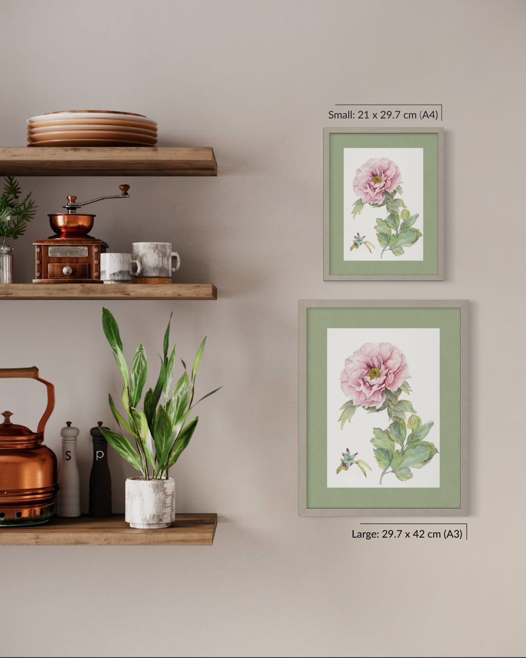 Two framed botanical art prints of a pink peony are displayed on a beige wall next to wooden floating shelves with home decor items. Text labels indicate the dimensions for both small and large sizes.
