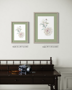 Two framed botanical art prints with dragonflies are displayed on a light gray wall above a dark wooden desk. The prints feature white and pink peonies with green leaves and stems, set in sage green mats and light wood frames.