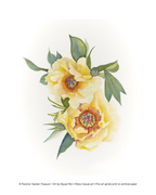 Watercolor-style floral art print featuring two pale yellow peony-like flowers with green leaves on a white background, with small copyright text along the bottom.