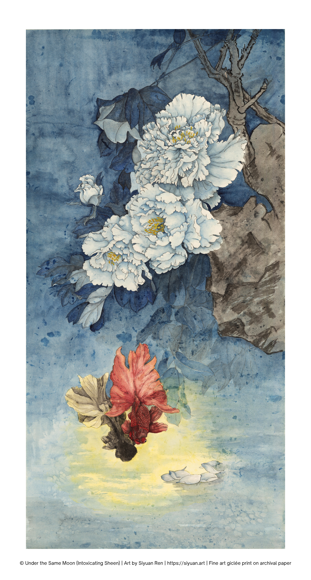 A vertical art print featuring white peony flowers and a red lotus flower in a watercolor-style illustration on a blue background.