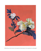 'White Peony on Peach Ground' Fine Art Print