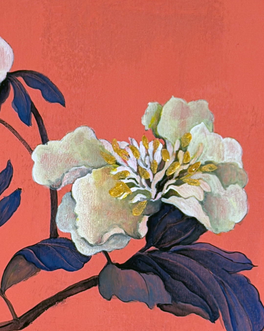 'White Peony on Peach Ground' Fine Art Print