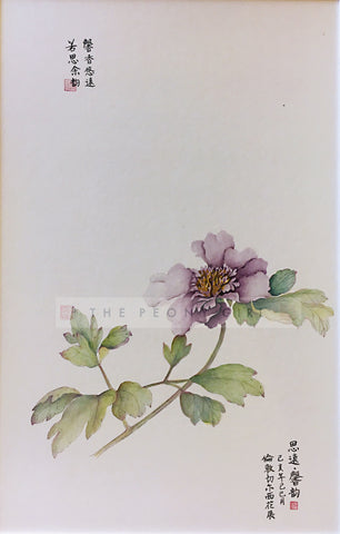 Peony Portrait - Purple - The Peony Girl