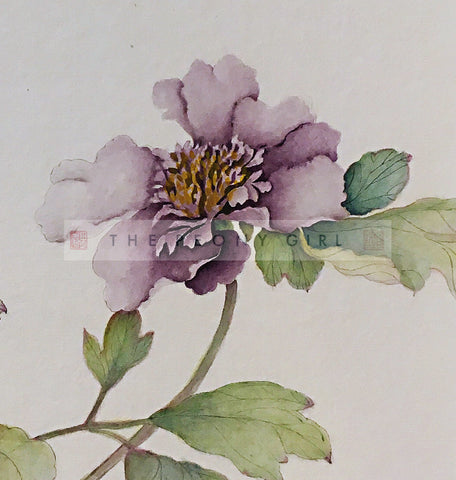 Peony Portrait - Purple - The Peony Girl