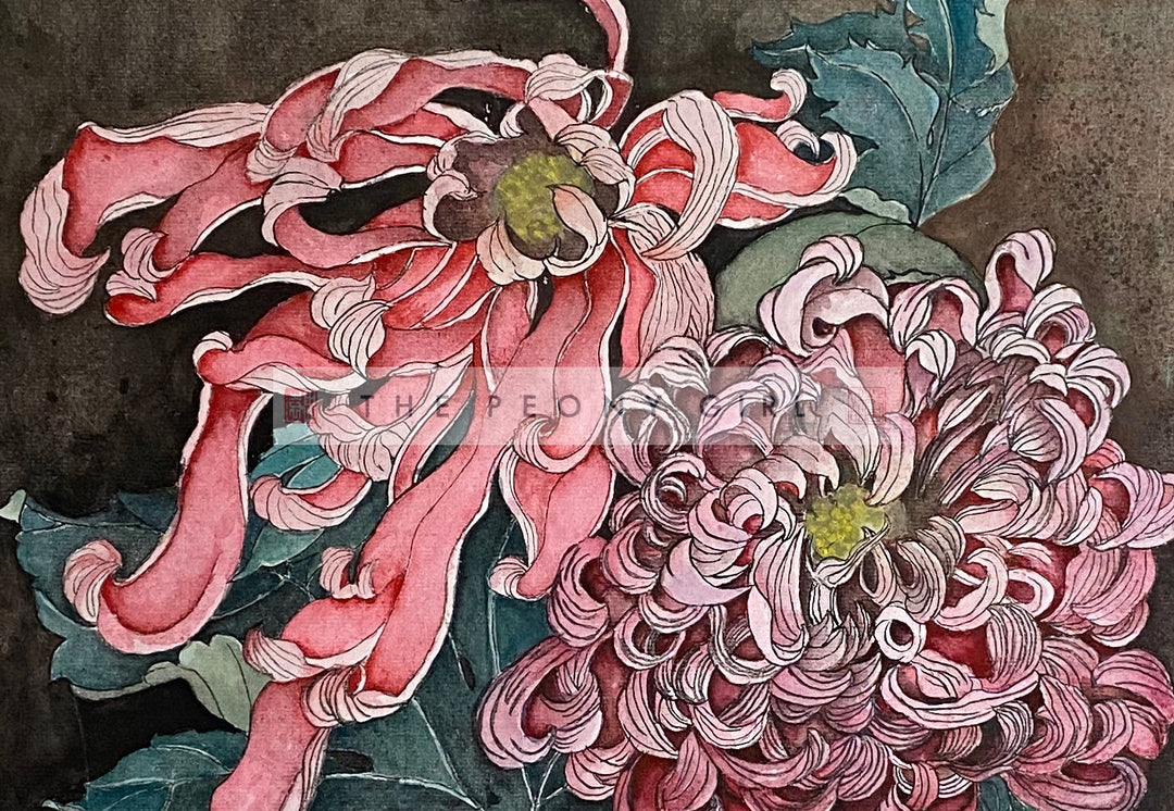17世紀 花卉画 画集 17th-century Flower Painting 17世紀 花卉画 画集 17th-century Flower Painting