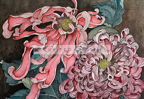 Golden Age - Chrysanthemum - The Peony Girl