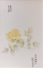 Peony Portrait - Yellow - The Peony Girl