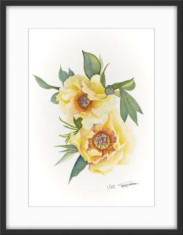 Botanical Prints: Garden Treasure Peony