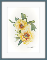 Botanical Prints: Garden Treasure Peony