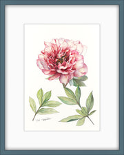 Botanical Art Hillary Itoh Pink Blue frame