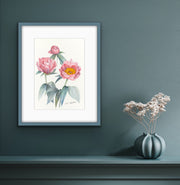 Botanical Prints: Lovely Rose Peony