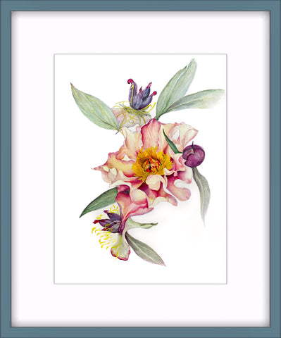 Botanical Prints: Court Jester