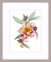 Botanical Prints: Court Jester