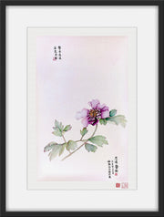 Fine Art Prints: Peony Portrait - Purple - The Peony Girl