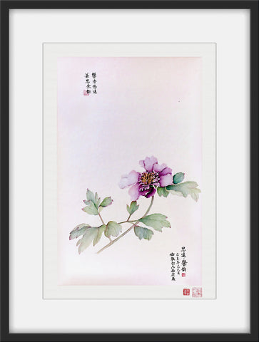 Fine Art Prints: Peony Portrait - Purple - The Peony Girl