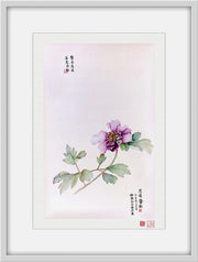 Fine Art Prints: Peony Portrait - Purple - The Peony Girl