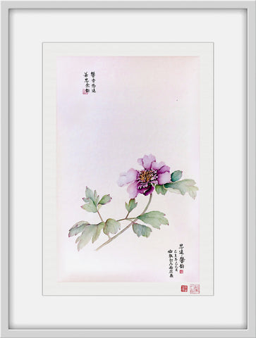 Fine Art Prints: Peony Portrait - Purple - The Peony Girl