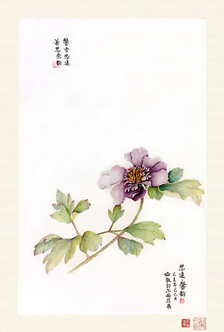 Fine Art Prints: Peony Portrait - Purple - The Peony Girl