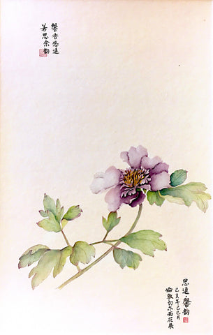 Fine Art Prints: Peony Portrait - Purple - The Peony Girl