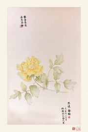Fine Art Prints: Peony Portrait - Yellow - The Peony Girl