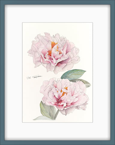 Botanical Prints: Blushing Princess Peony