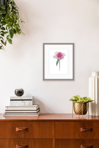 Botanical Prints: Paeonia Lactiflora “Do Tell”