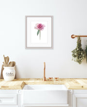 Botanical Prints: Paeonia Lactiflora “Do Tell”